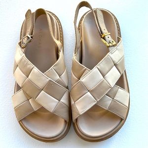 Checkered Alohas